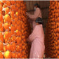 Dried Persimmons, 400g Persimmon, Persimmons Fruit Fresh,Persimmon Fruit, No Sugar Added, Used For Snacking & Baking (400g)