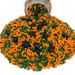 Mystic Sprinkles Graduation Day Sprinkles Mixes (Graduation Day! Orange & Green Sprinkle Mix 3.8Oz)