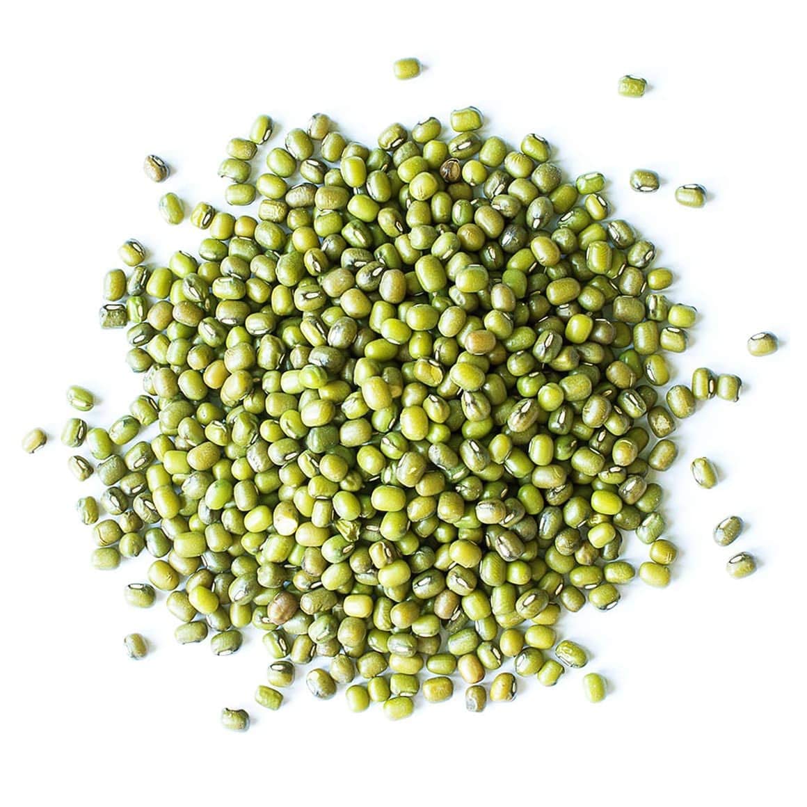 Food To Live - Mung Beans, 15 Pounds Whole, Dried, Raw Moong, Kosher, Vegan, Sirtfood, Bulk Green Gram, Low Sodium, Good Source