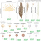 51 Pcs Boho Sun Wood Cake Toppers Mini Balls Cake Topper Various Dried Pampas Grass Cake Decor Bunny Tails Reed Grass White Pamp