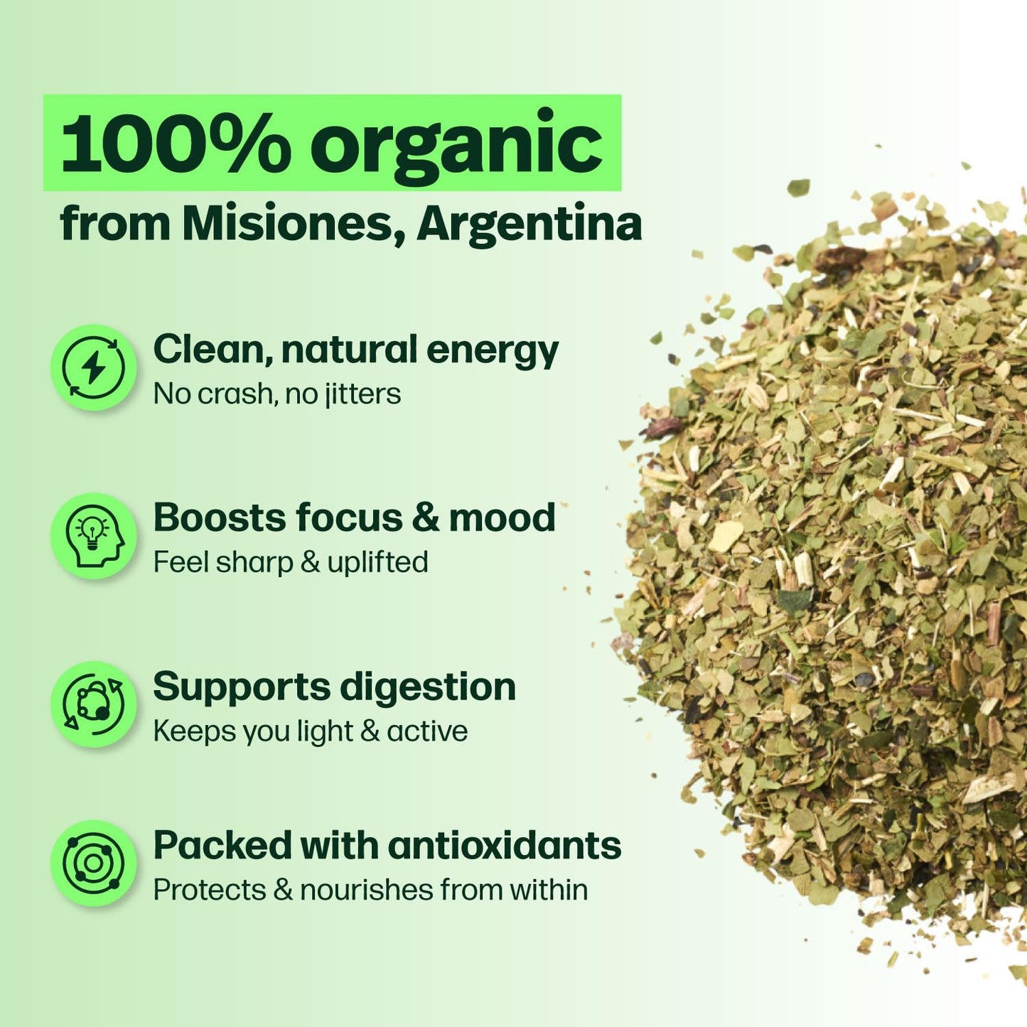 Kalmateh Organic Yerba Mate Tea Loose Leaf & Stem, 1lb