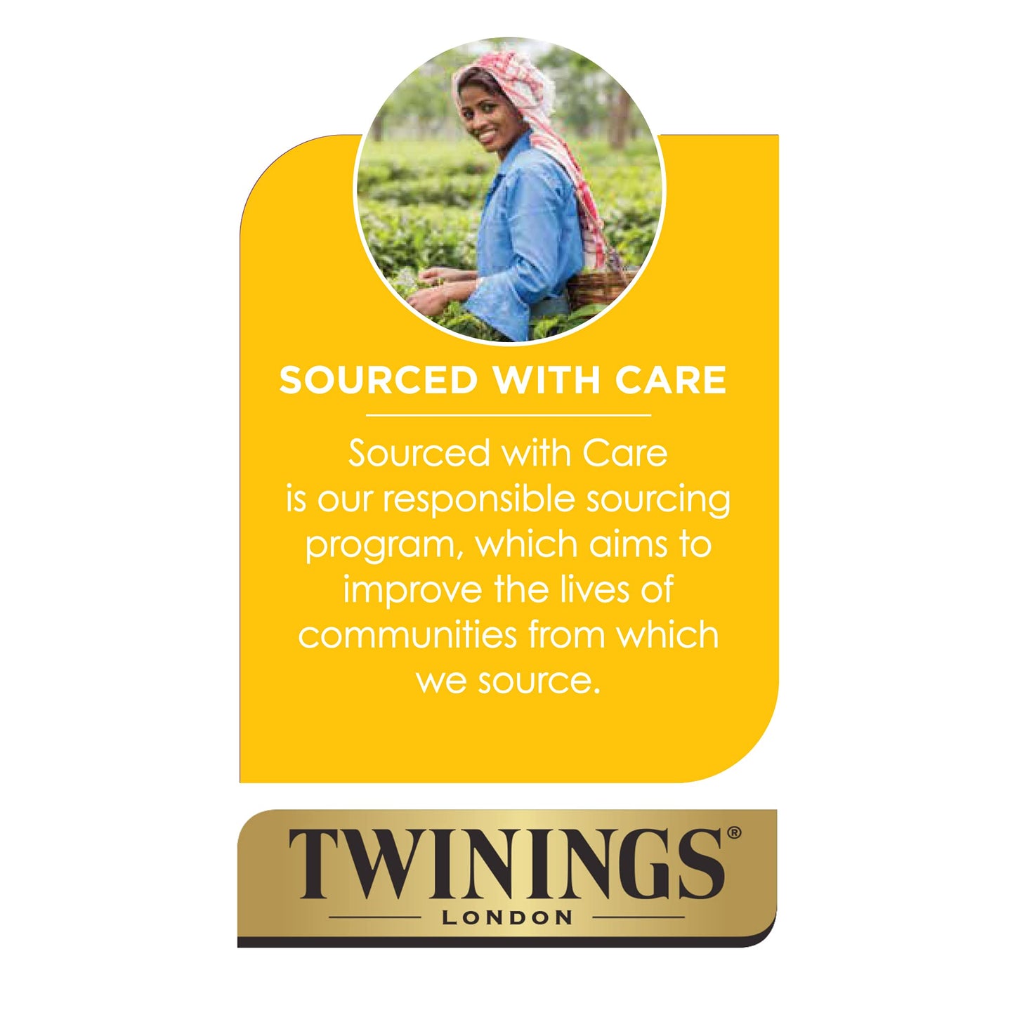 Twinings Green Tea Keurig K-Cups  48 Count