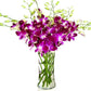 Fresh Cut Flowers -Dendrobium Purple Orchids With Vase Gift For Birthday, Sympathy, Anniversary, Get Well, Thank You, Valentine,