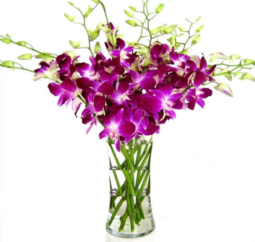 Fresh Cut Flowers -Dendrobium Purple Orchids With Vase Gift For Birthday, Sympathy, Anniversary, Get Well, Thank You, Valentine,
