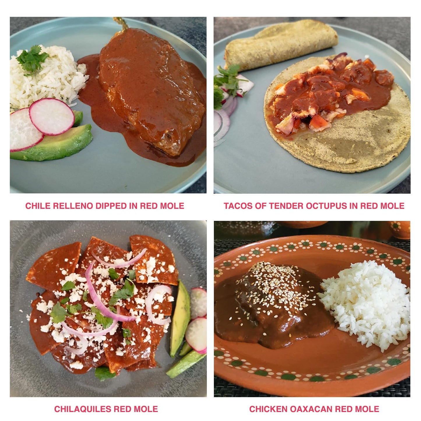 Mayanshul Healthy Red Mole Sauce | Mole Rojo Oaxaqueno | Superfood Ingredients | Fat Free, No Added Sugar, Low Carb, Low Sodium,