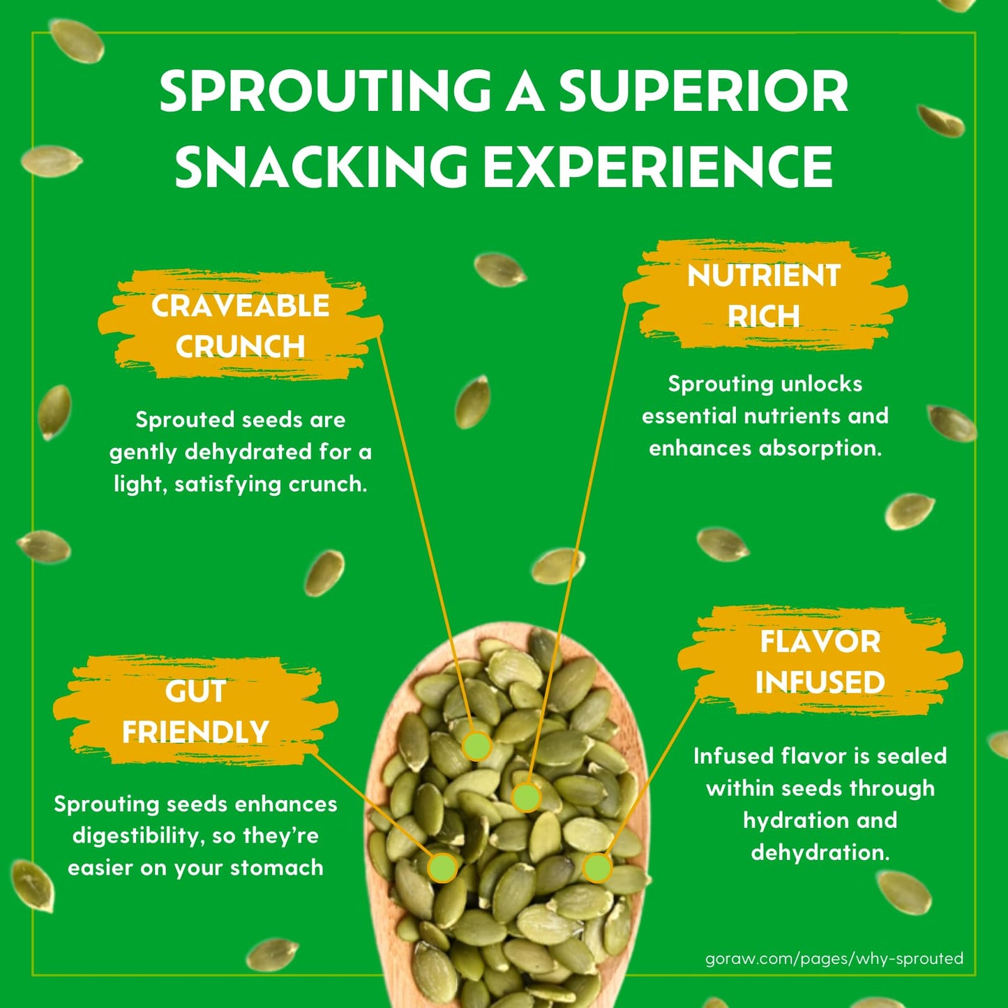 Go Raw Organic Sprouted Pumpkin Seeds, 14 Oz Bag - Healthy Snack, Non-GMO, Gluten-Free, KHR-290