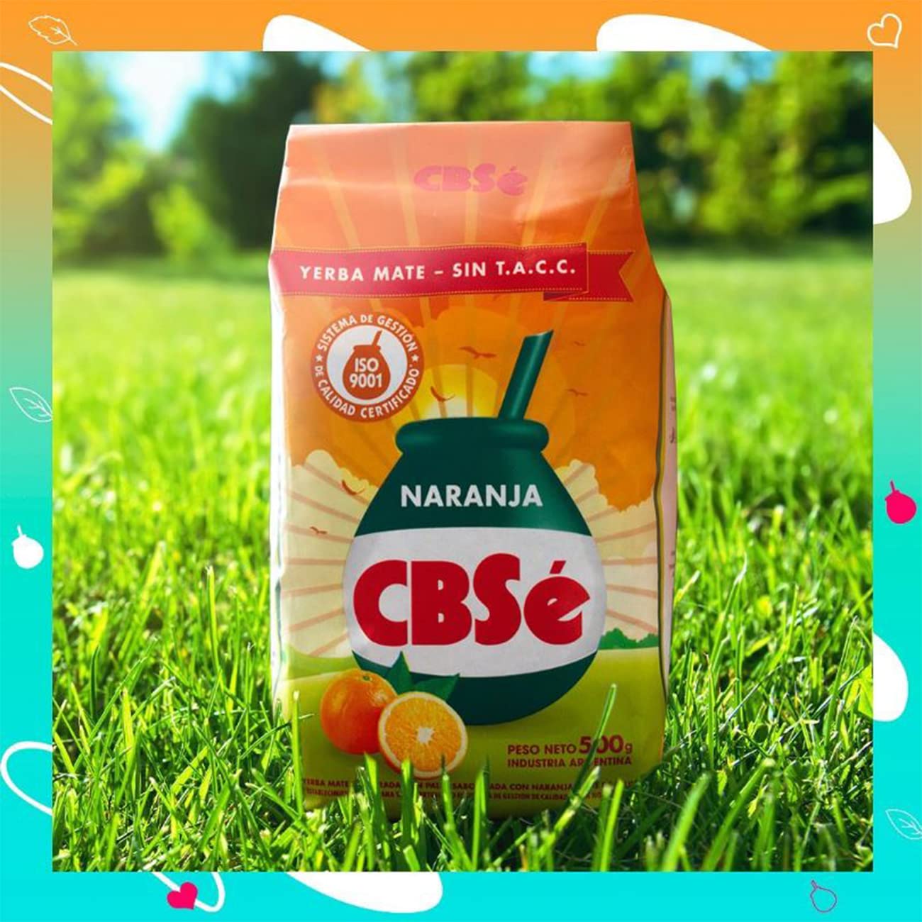 Cbsé Yerba Mate Orange Flavor – Loose Leaf Yerba Mate Tea, Naturally Caffeinated, Gluten-Free - 2 Pack (500 G Each)
