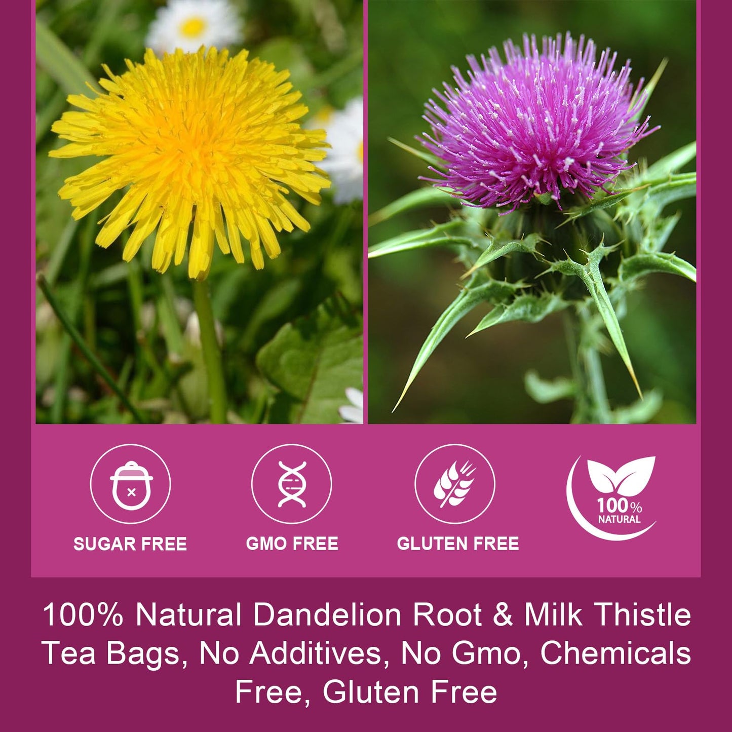 WOGORGT Dandelion Root & Milk Thistle Tea Bags - 40 Count - Caffeine Free Herbal Tea for Liver Cleanse & Immune Support