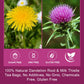 WOGORGT Dried Dandelion Root and Milk Thistle Herbal Tea Bags - Caffeine Free, 30 Count
