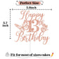 Rose Gold Glitter Happy 13Th Birthday Cake Topper, Butterfly Happy 13Th Birthday/Cheers To 13 Years, Butterfly Themed 13Th Birth