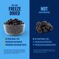 Freeze-Dried Blueberries - #10 Can | 25-Year Shelf Life | Emergency Food