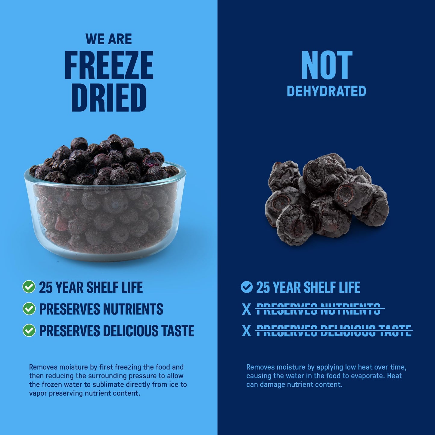 Freeze-Dried Blueberries - #10 Can | 25-Year Shelf Life | Emergency Food