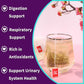 TEARELAE Marshmallow Root Tea Bags, Caffeine-Free, 40 Count, Non-GMO, Support Digestion & Respiratory