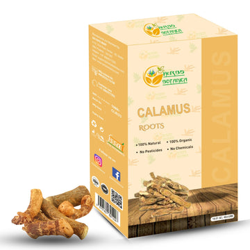 Herbs Botanica Calamus Root Loose Dried Herb For Skin, Stomach Health Benefits Herbal Tea Sweet Flag/Sway/Vacha/Muskrat Root/Vas