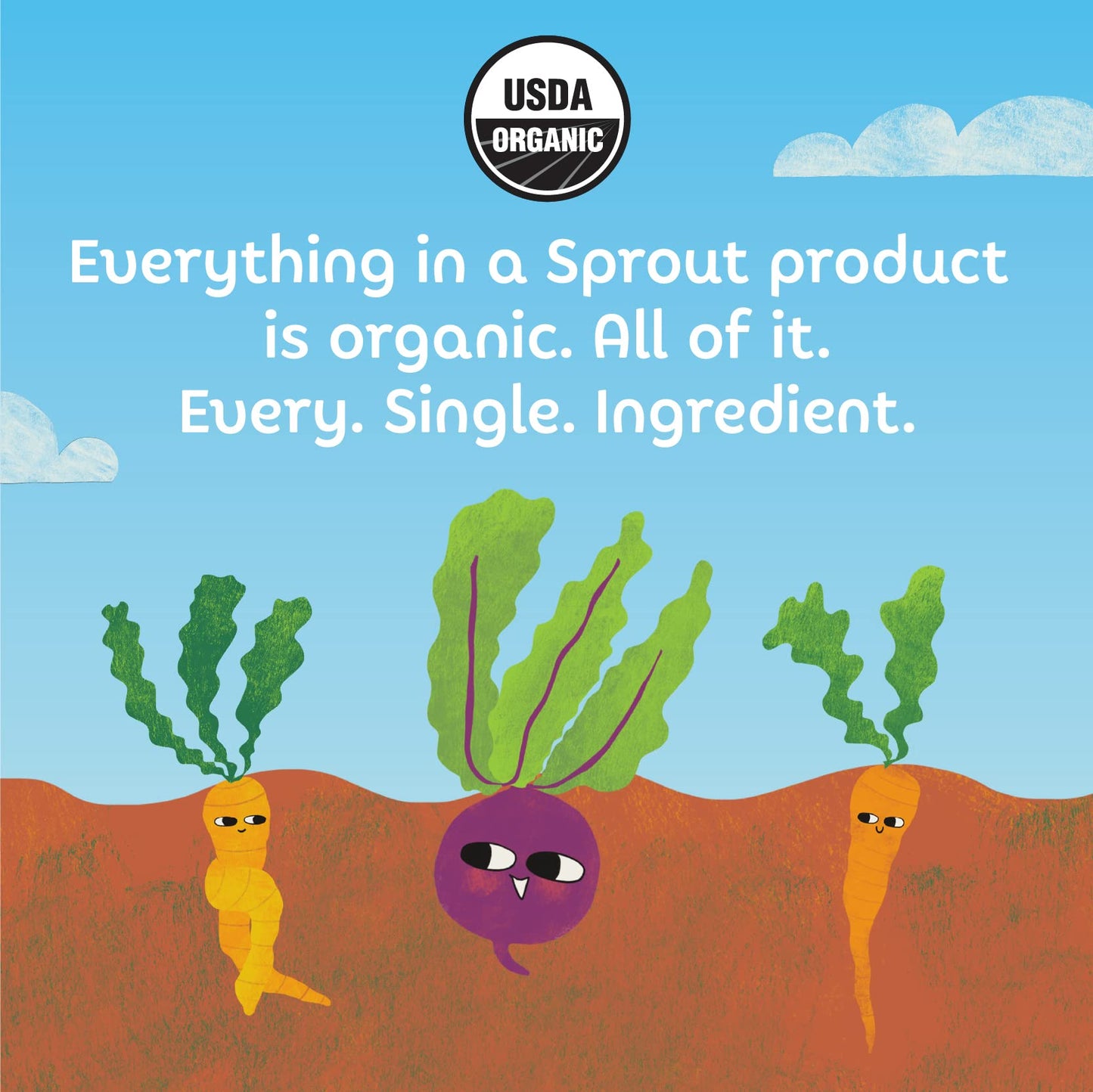 Sprout Organic Baby Food, Stage 4 Toddler Fruit Snacks, Red Fruit Beet & Berry Crispy Chews, 0.63 Oz Single Serve Packs (5 Count