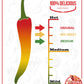 Jersey Girl Hot Sauce 5Oz (Variety) No Sodium/Salt Free - All Natural Craft Hot Sauce Sampler Pack
