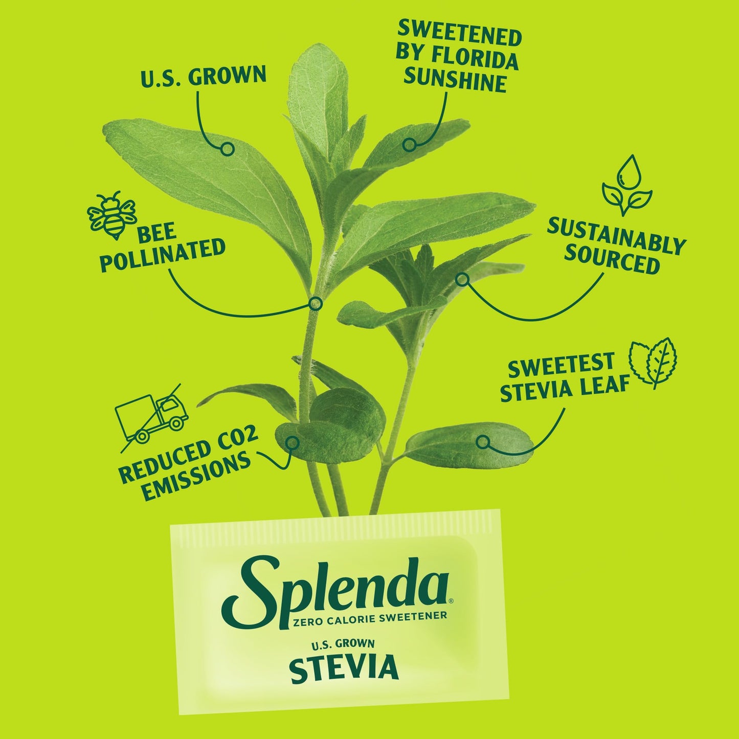 Splenda Stevia Zero Calorie Sweetener, Sugar Substitute Packets, 50 Count (Pack Of 1)