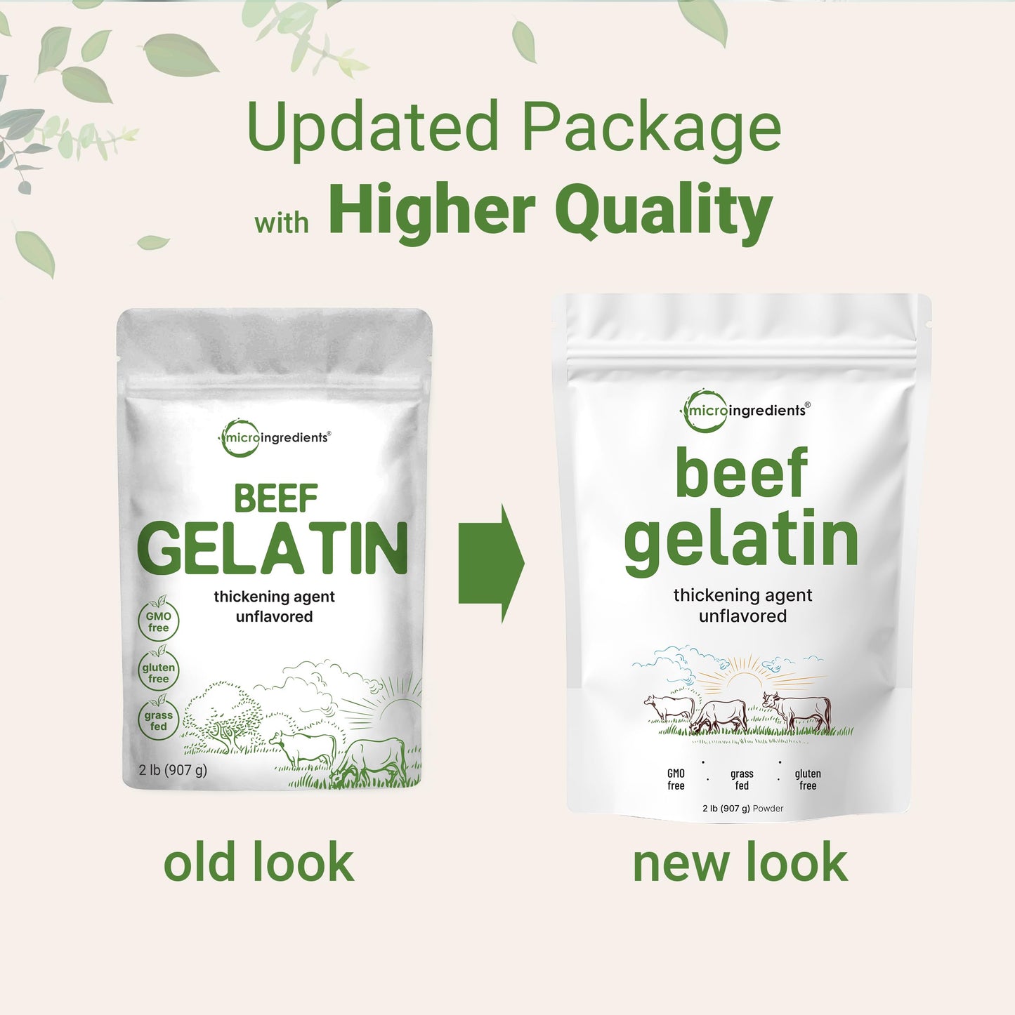 Micro Ingredients Beef Gelatin Powder, Unflavored, 32oz, Grass-Fed, Non-GMO, Gluten Free, Model BA-MI-GEL0907