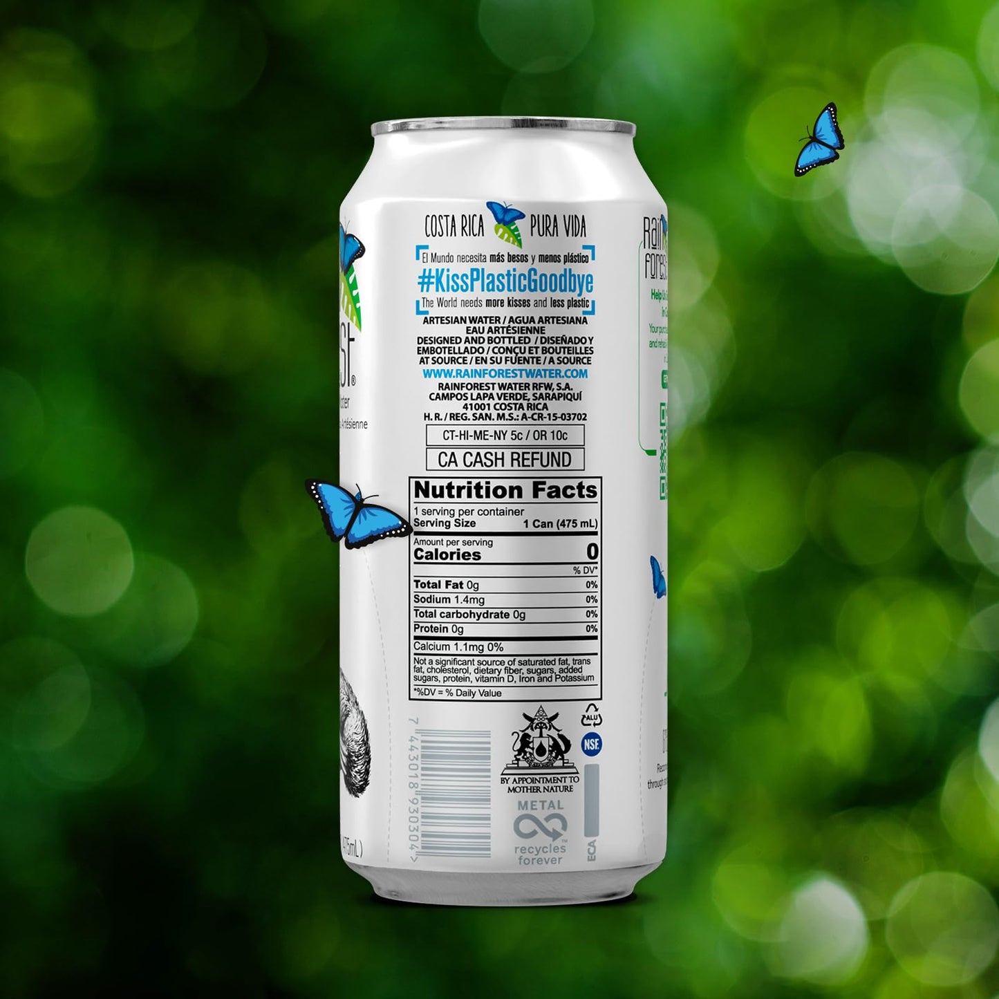 Rainforest Artesian Water  Costa Rica Pallet of 114 boxes - 1 368 Water Cans (475 mL / 16 oz Each) | Eco-Friendly & Sustainable Aluminum Packaging