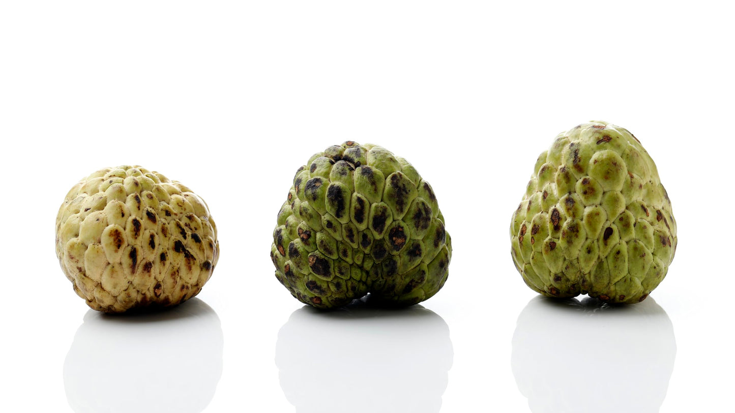 Fresh Green Cherimoyas by RawJoy Farms