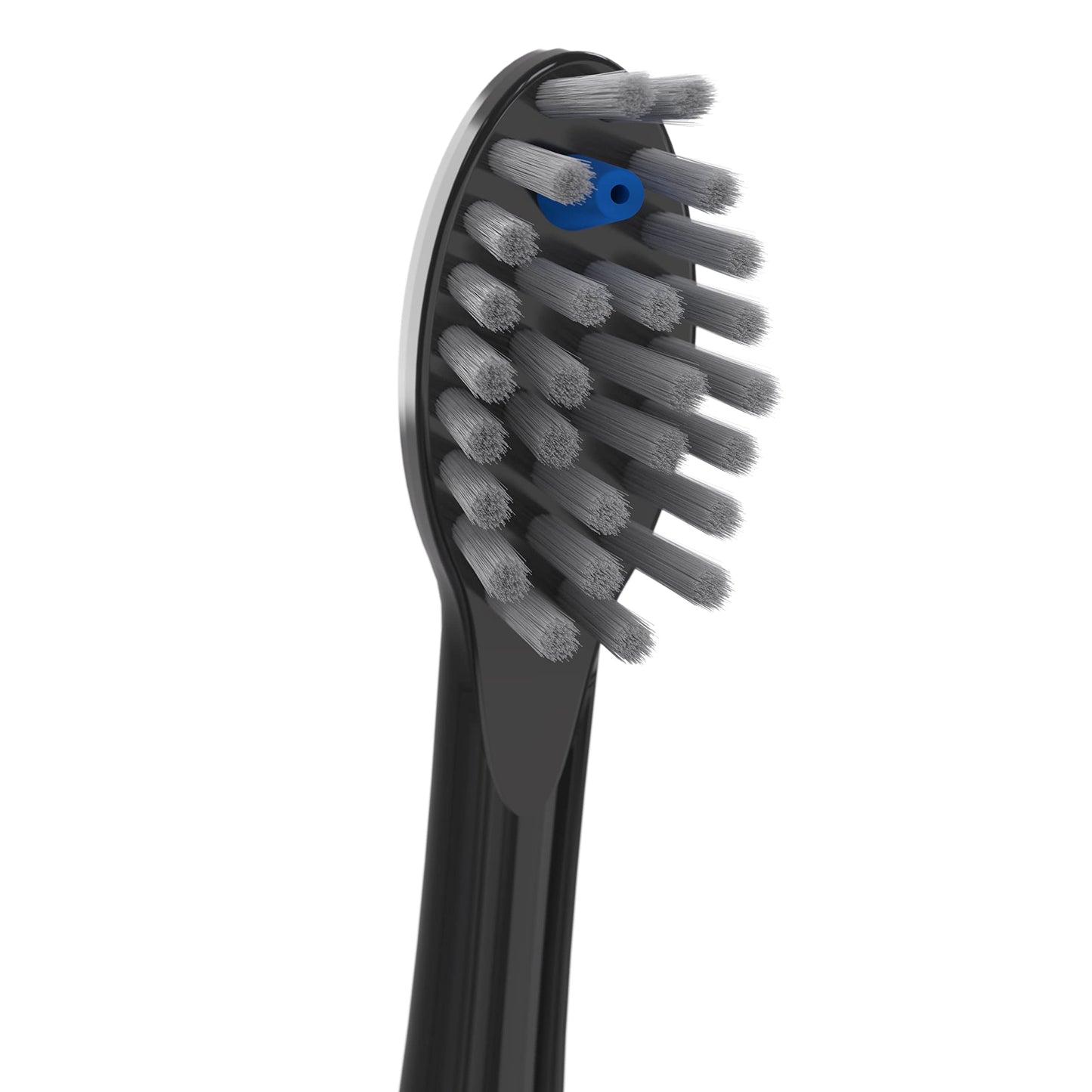 Waterpik Genuine Full Size Replacement Brush Heads With Covers For Sonic-Fusion Flossing Toothbrush Sffb-2Eb, 2 Count Black
