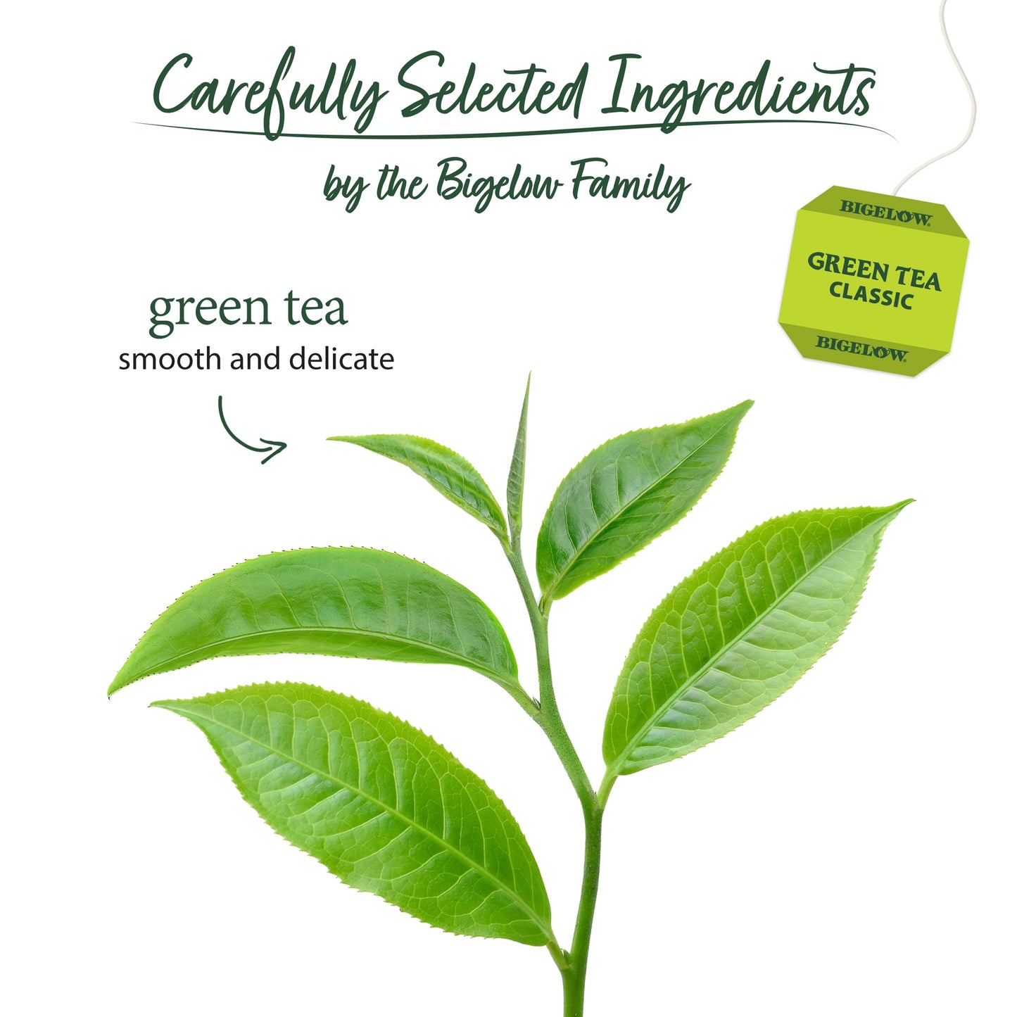 Bigelow Green Tea 1.82 Oz(Pack Of 2)