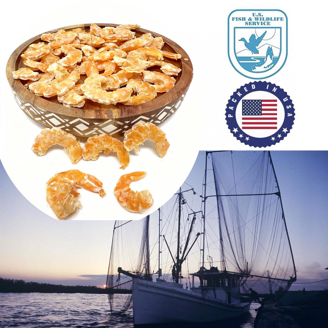 DABC OAK LAND Dried Shrimp - Medium Large, 32oz (2 Bags) - Fresh-Caught & Dehydrated Snacks, Seafood Salad, Pad Thai, Soup