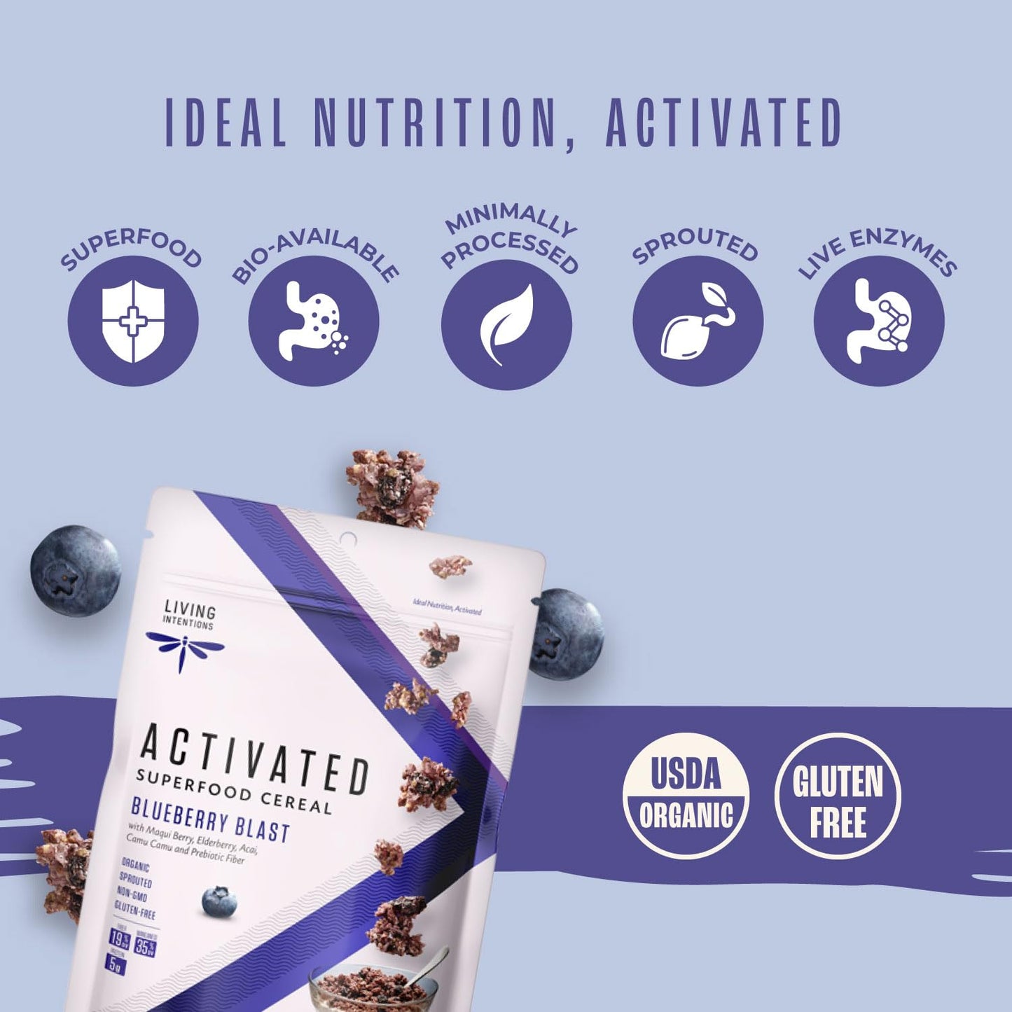Living Intentions Organic Superfood Cereal - Blueberry Blast - NonGMO - Gluten Free - Vegan Paleo - Kosher - 9 Ounce Unit