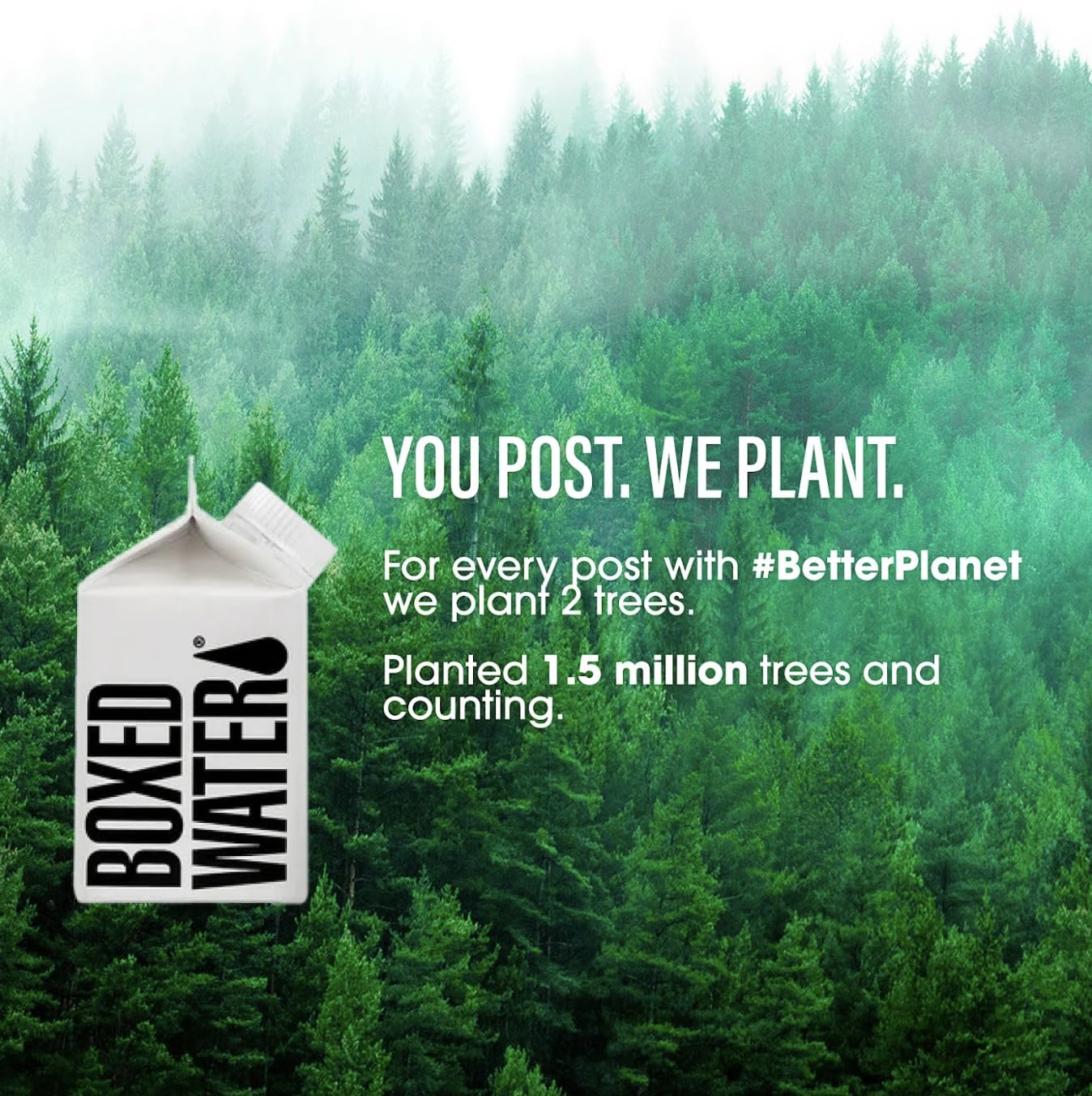 Boxed Water 8.5 oz. (24 Pack) - Purified Drinking Water in 92% Plant-Based Boxes, 100% Recyclable, BPA-Free, Refillable Cartons,