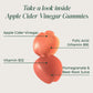 Primal Harvest Sugar-Free Apple Cider Vinegar Gummies – 750 mg, 60 Count