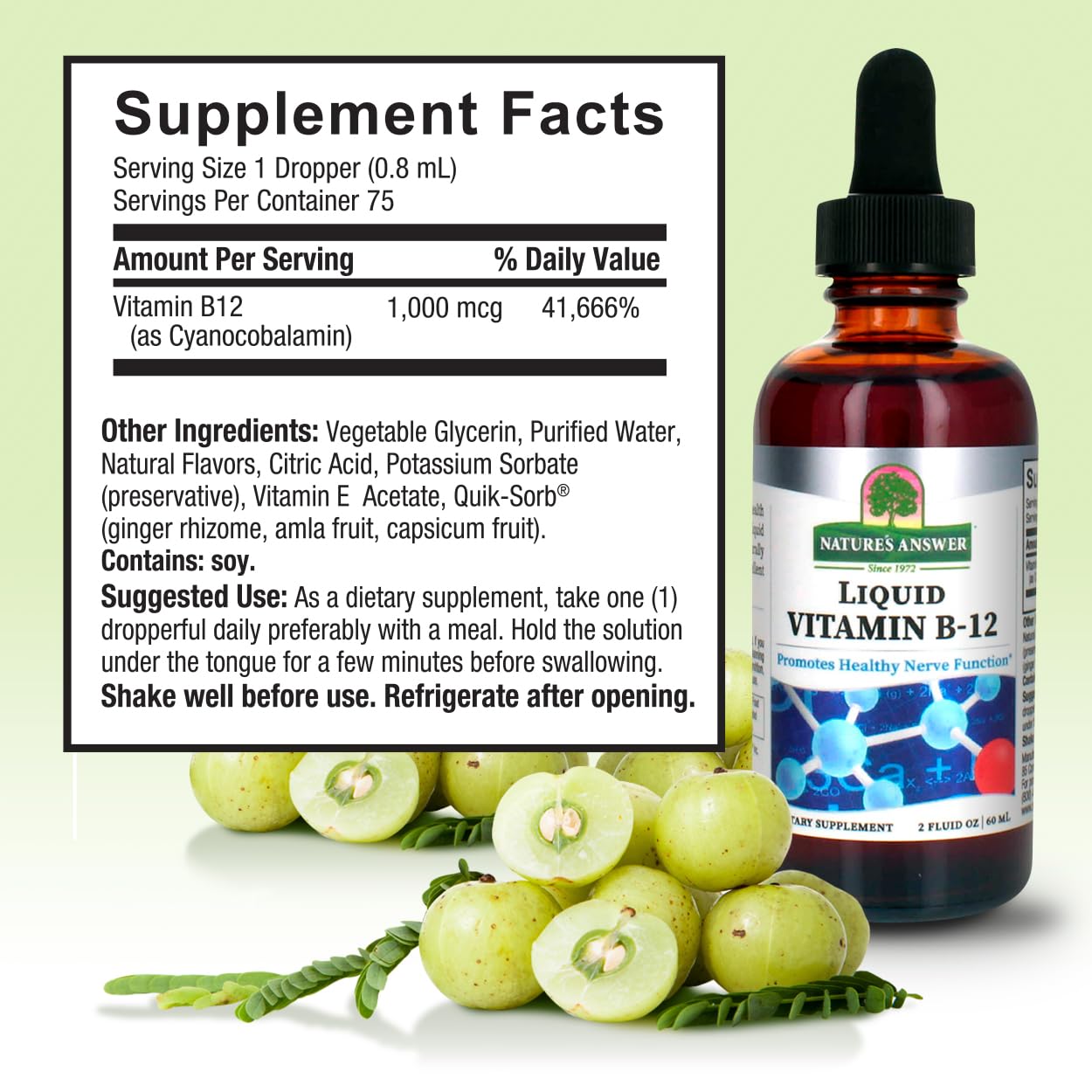 Natures Answer Liquid Vitamin B-12 | Promotes Healthy Nerve Function & Energy Levels | Naturally Flavored & Gluten-Free 2Oz