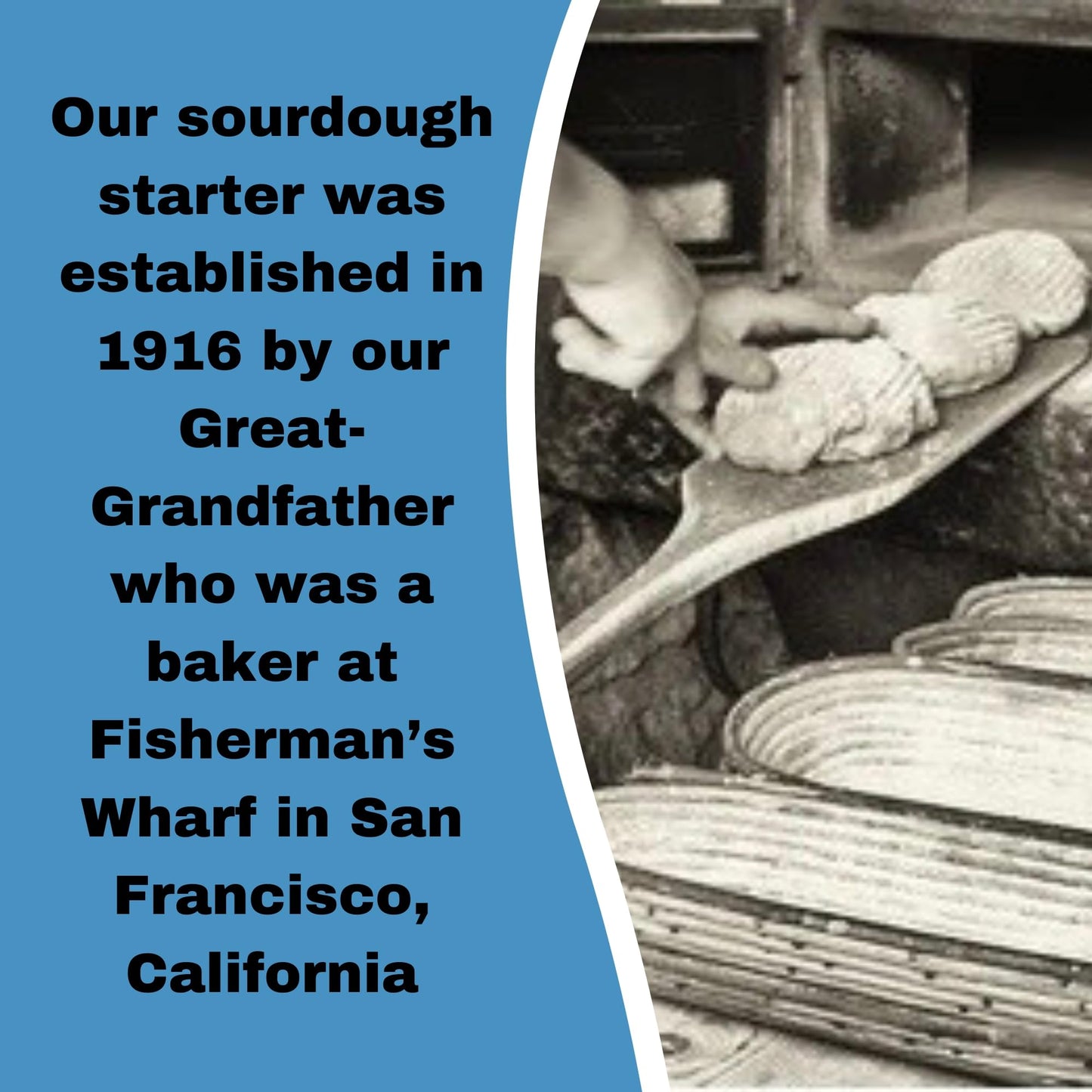 Generic 100+ Year Old SAN FRANCISCO Sourdough Starter | 0.99 oz | Includes Easy Instructions & Recipe | Perfect for Baking Enthusiasts