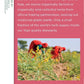 Traditional Medicinals Mother'S Milk Tea - Organic Tea For Breastfeeding, Traditional Medicines Lactation Tea, Pack 1