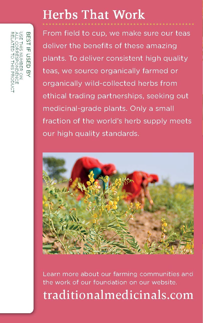 Traditional Medicinals Mother'S Milk Tea - Organic Tea For Breastfeeding, Traditional Medicines Lactation Tea, Pack 1