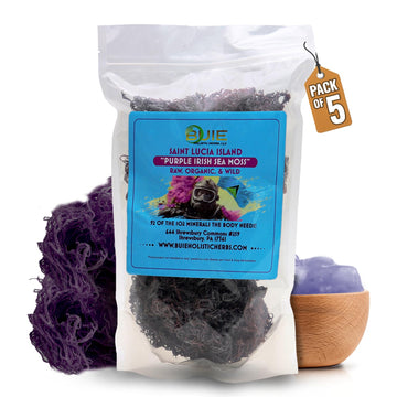 Purple Irish Sea Moss | Wildcrafted from St. Lucia | 80oz Makes ~1200+ oz Sea Moss Gel | 100% Natural, Raw & Sun-Dried | Dr. Seb