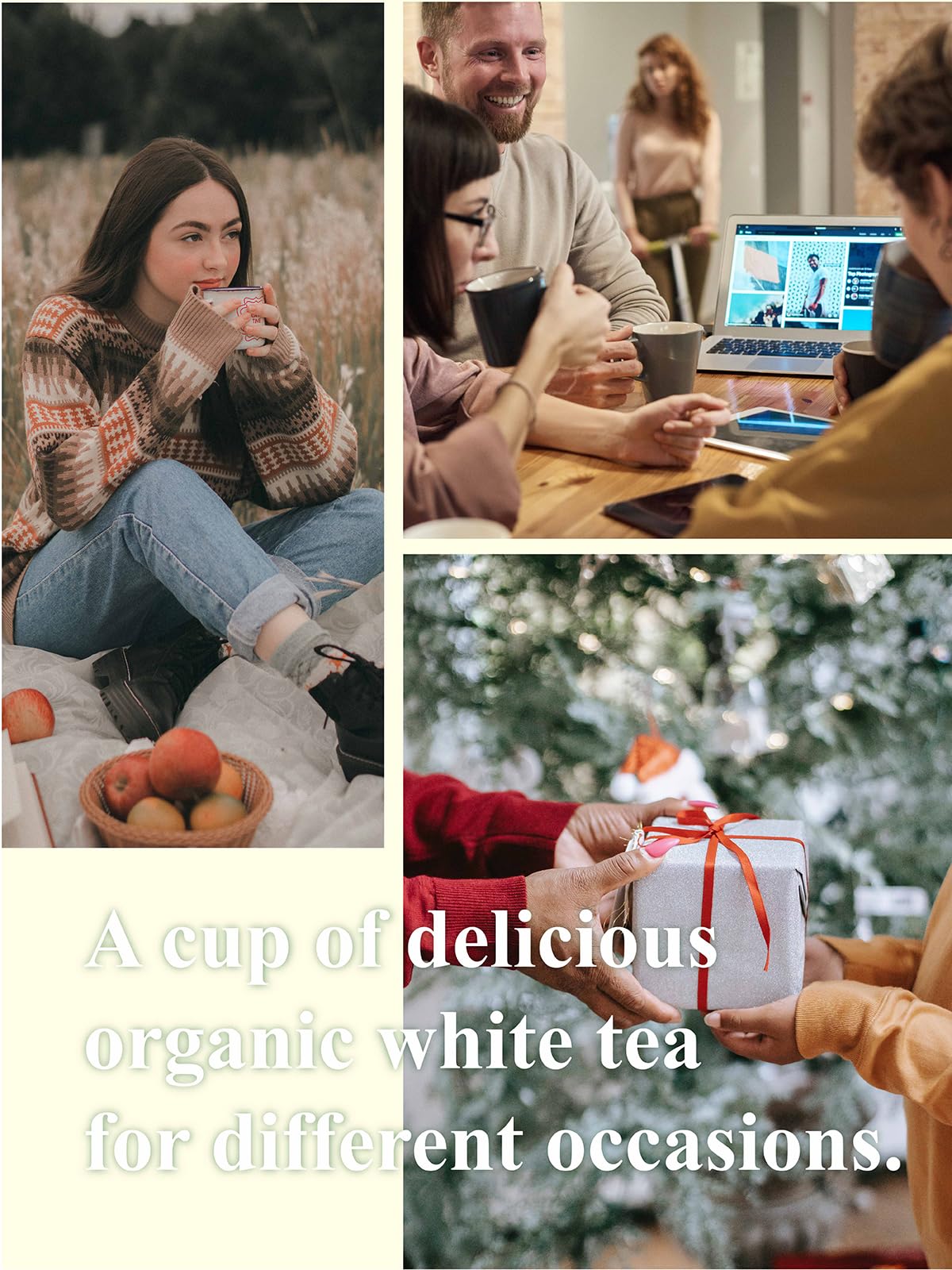 Gldnt Organic White Tea, Enhanced Organic White Tea Loose Leaf, Mild & Smooth Taste, Low Caffeine, 7 Ounce