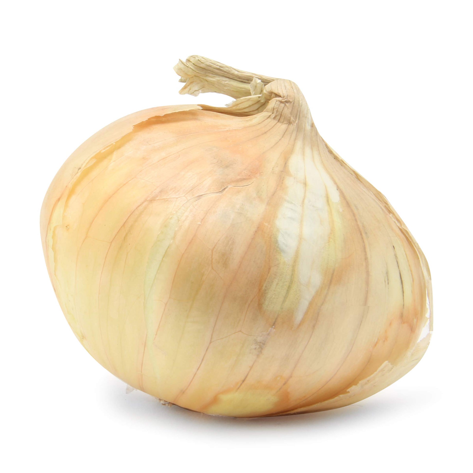 Sweet Onion