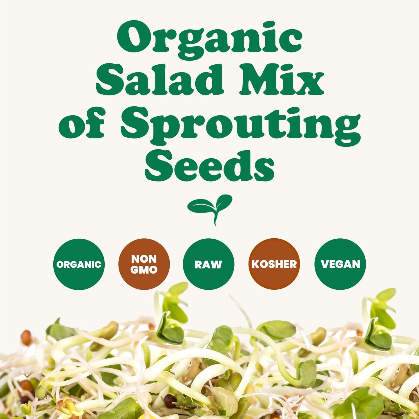 Food to Live Organic Salad Mix of Sprouting Seeds, 8 Ounces - Non-GMO Broccoli, Radish, Clover, Alfalfa. Rich Germination Rate,