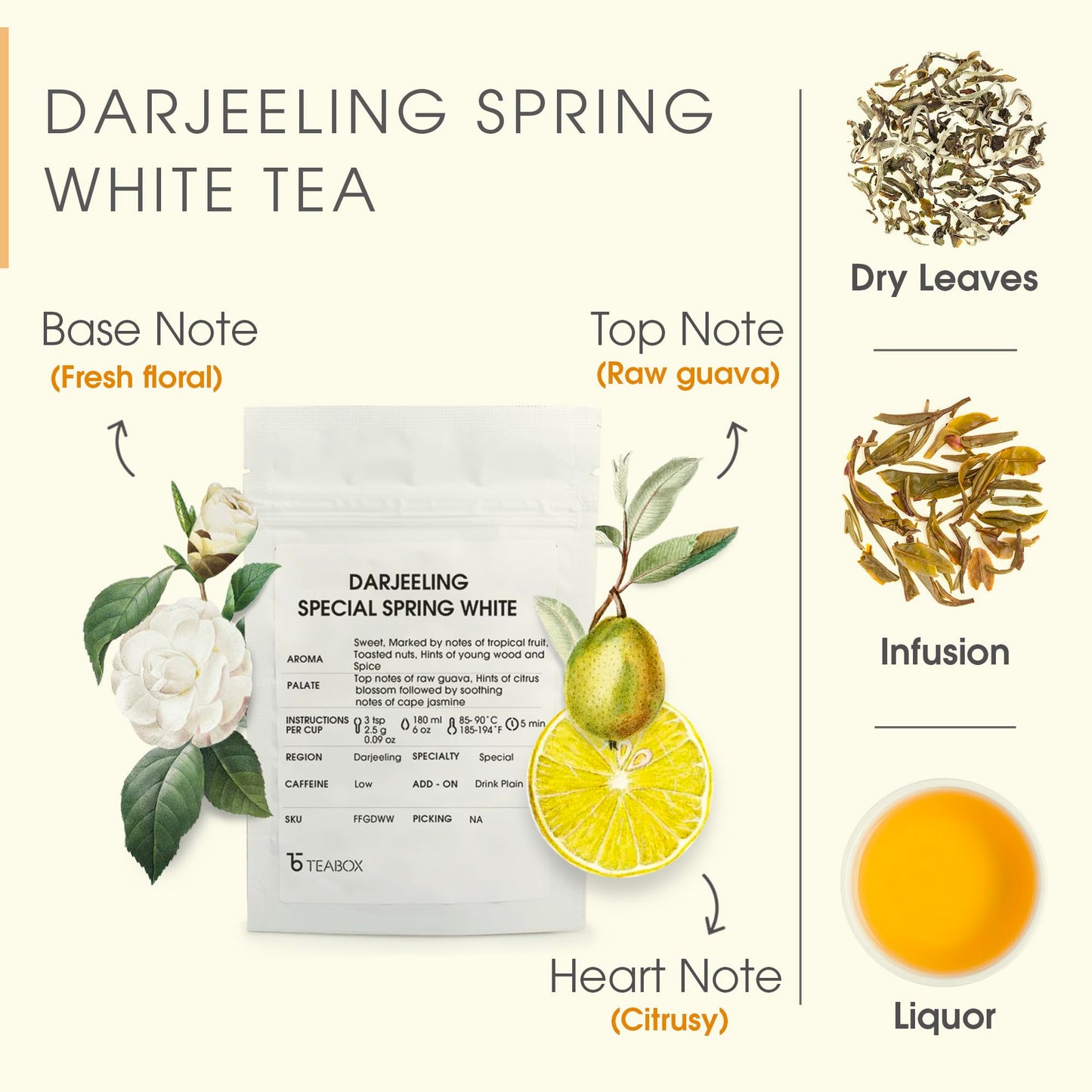 Teabox Premium Fresh High Grown Darjeeling Special Spring White Tea | White Tea Blend Of Floral-Fruity Aromas And A Silken Textu