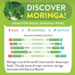 Moringa Turmeric Ginger Tea Bags 28 (Keto, Detox, Paleo, Vitamin & Minerals Booster, Vegan, Gluten-Free, Non-Gmo, Caffeine-Free)