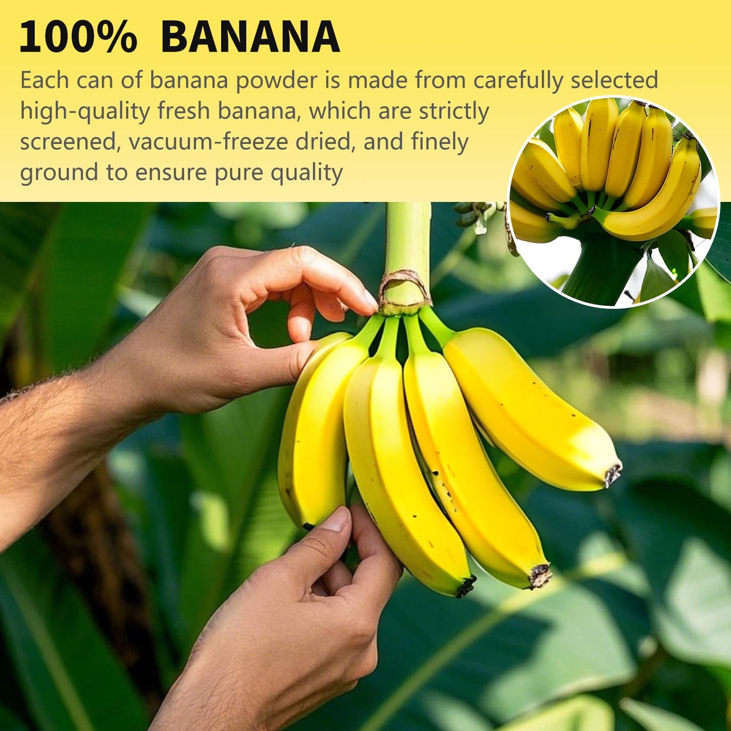 Banana Powder, 8.82Oz Freeze Dried Banana Powder, Freeze Dried Fruit, No Added Or Sugar, Suitable For Baking, Oatmeal, Cereal, Y