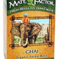 The Mate Factor Herb Tea, Energizing, Organic, Chai, 20 Bag (Pack of 2)