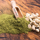 Aroma Depot Moringa Seeds KERNEL 100% Natural Raw Superfood 8 oz Off White