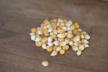 Amish Country Popcorn | 6 Lb Bag | Extra Large Caramel Type Popcorn Kernels | Old Fashioned, Non-Gmo And Gluten Free (Extra Larg