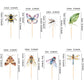 Ercadio 32 Pcs Insect Theme Cupcake Toppers Dragonflies Bees Flies Butterflies Moths Cupcake Pick Decorations For Insect Theme B