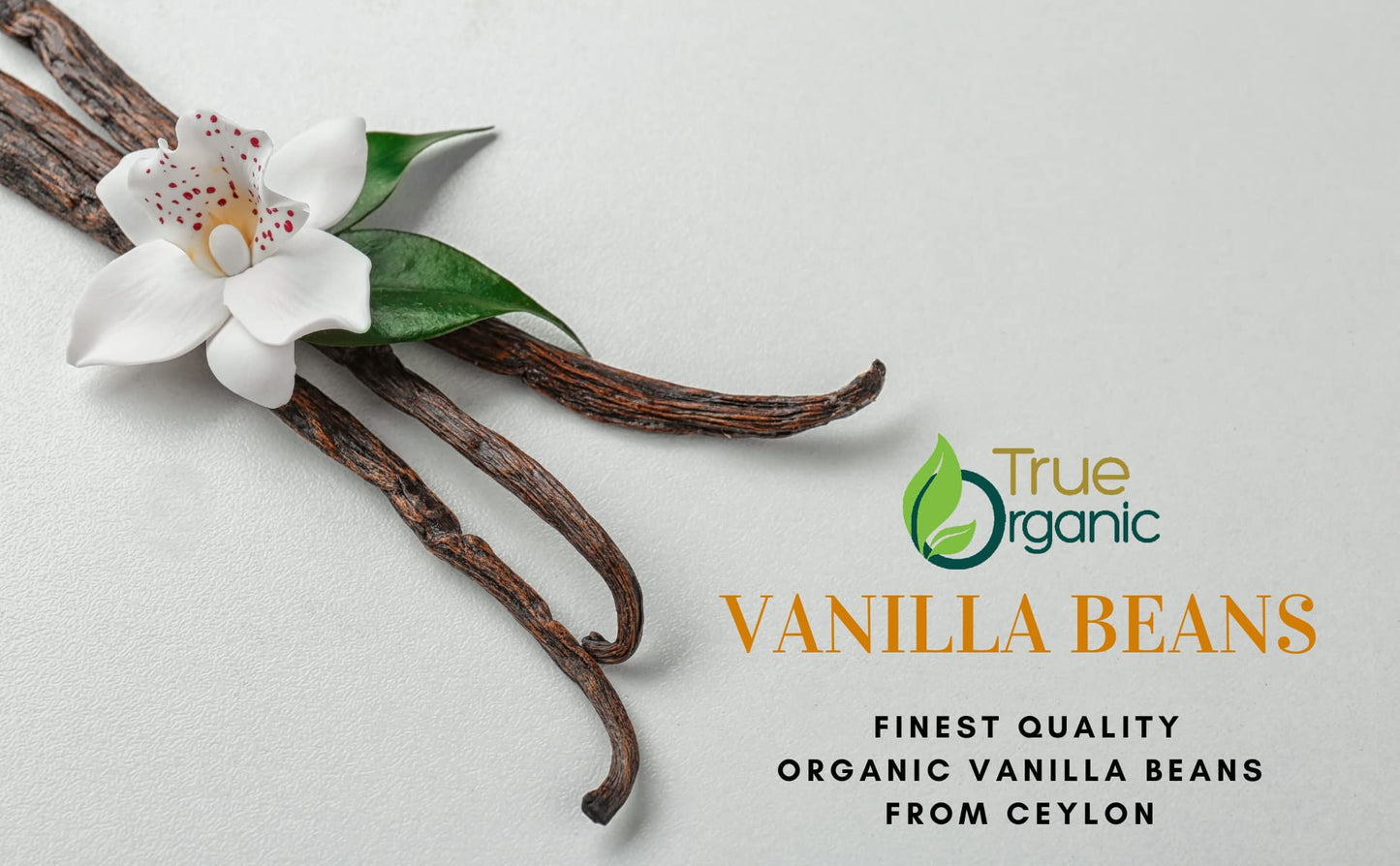 True Organic Vanilla Beans Whole, 10 Count, Premium Quality Extract Exclusive, Gluten Free, Usda & Kosher Certified, Non-Gmo Who