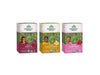 Organic India Iced Tulsi Herbal Tea Favorites - Hibiscus, Lemon Ginger, Sweet Rose - Adaptogen, Vegan, Usda Certified Organic, N