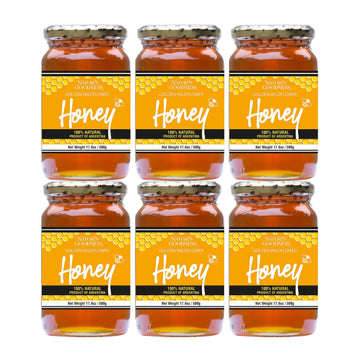 Nature's Goodness Golden Wildflower Honey in Glass Jar - Pure Real Honey for Tea, Baking & Cooking - 17.6 Oz (6 Pack) - 6.6 Poun