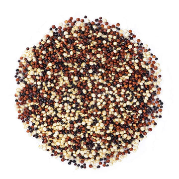 Food to Live Organic Tri-Color Quinoa, 20 Pounds - Non-GMO, Blend of White, Black, and Red Quinoa, Whole Grain, Non-Irradiated, 