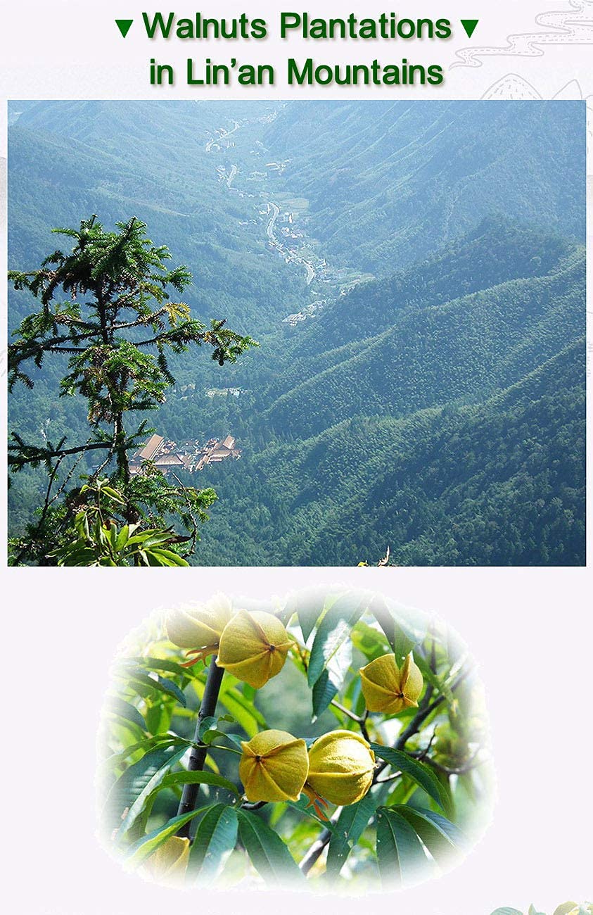 Chinese Walnuts(With Shells),Fresh New Linan Mountain Walnuts,Easy-to-Peel Linan Mountain Walnuts,Creamy/Salty,Net 8.8 oz./250g,